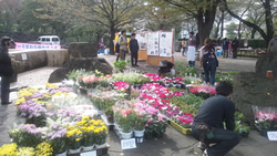 お花