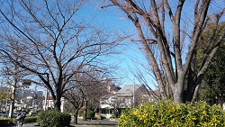 豊島公園