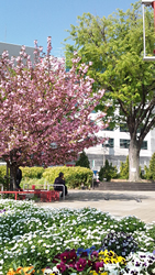 王子三角公園