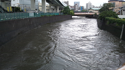 2014年６月30日石神井川　豊石橋付近