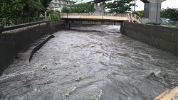 2014年６月30日石神井川　豊石橋付近