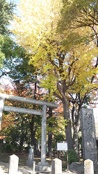 船方神社の紅葉