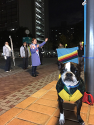 ジェシー君