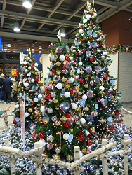 クリスマスツリー