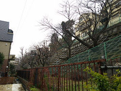 区内の崖地視察