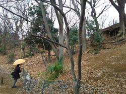 区内の崖地視察
