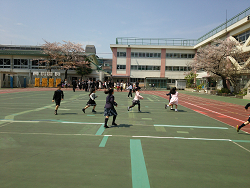 小学校校庭