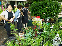 2015年かっぱまつり、お店の早朝準備中風景