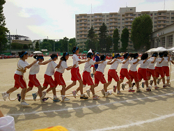 区立中学校の体育祭
