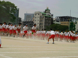 区立中学校の体育祭