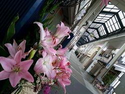 倉敷市の美観地区