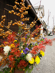 倉敷市の美観地区