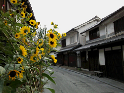 倉敷市の美観地区