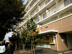UR豊四季団地