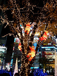 クリスマスの飾り