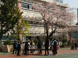 小学校の入学式