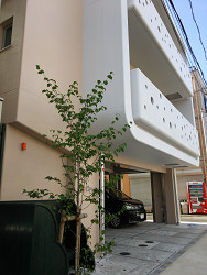 あゆみ福祉センター