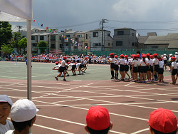 小学校運動会