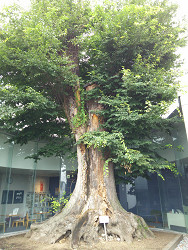 群馬県中之条町