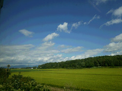 のびの～び　北海道 