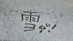 ４年ぶりの大雪