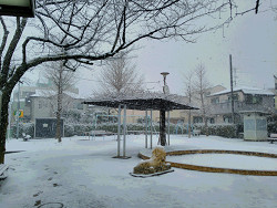 ４年ぶりの大雪