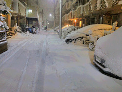 ４年ぶりの大雪