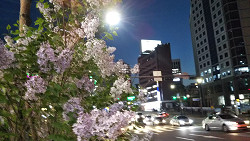韓国訪問
