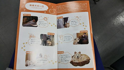 2018年おちゃのこ祭祭 