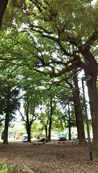 いなり中央公園
