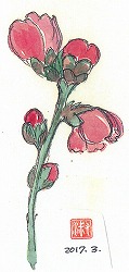梅の花