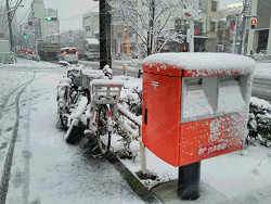 雪景色