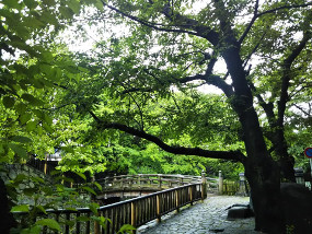 音無親水公園