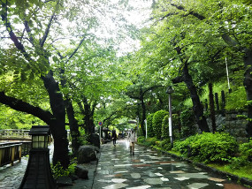 音無親水公園